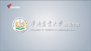 华南农业大学九州平台学院2021年宣传视频